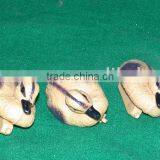 Plastic Duck thumbnail-1