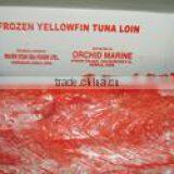 Frozen Tuna Loins thumbnail-1