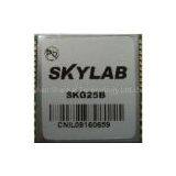 GPS Receiver Module Skylab SKG25B