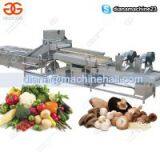 Fruit Vegetable Washing Drying Machine Line|Dates Palm Washing Machine