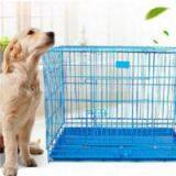 Folding Iron 2 Door Plastic Pan Pet Cage thumbnail-1