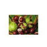 Horse Chestnut Extract