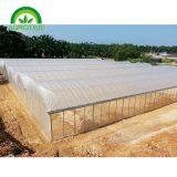 2019 High Strength Multispan Vegetables Greenhouse With Plastic Film for Sale thumbnail-4