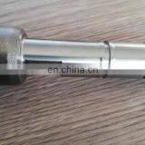 Общий топливный коллектор с инжектором 0445110696, подходящая форсунка 0433172489 DLLA150P2489