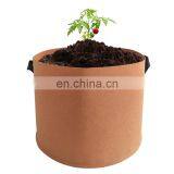Seedling 5 Gallon Round Felt Grow Bag thumbnail-3