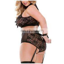 5XL Women's Underwear Set Sexy Perspective Lace Bra High Waist Panties Sexy Lingerie Plus Size Women's Underwear thumbnail-2