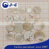 Trocas Shell Blanks, Mop Blanks, TR Blanks, Blank, Button, TECTUS CONUS, TEN, YOKO
