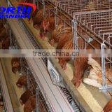 Poultry Farm Feeding Equipment Chicken Feeder