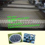 Industrial Blueberry Sorter Machine /grading Machine/classifying Machine