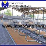 Galvanized Cow Cubics Cattle Loops Livestock Farm thumbnail-1