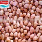 Best Peanut for Oil & Butter & Food