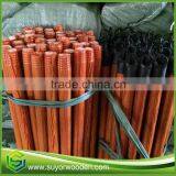 Standard 22mm Italian Thread Diamater Pvc Coated Broom and Mop Stick