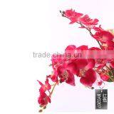 Artificial Cymbidium Orchid for Sale thumbnail-4
