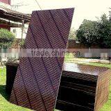 Ex Works Brown Color Film Faced Plywood thumbnail-1