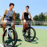 Haoling Seagull - Electric Bike Motor Mid Drive, Electric Motor Bike thumbnail-5