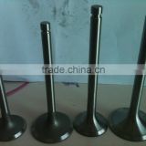 Bangladesh Farm Tractor Diesel Engine Valves,Hebei Factory supply directly