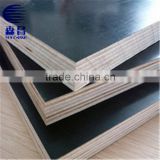 18mm Factory Supply Good Quality Brown Film Finger Jointed Laminated Boards