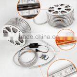 Light Strips Item Type and 50,000h Life LED Power Strip for Cheistmas