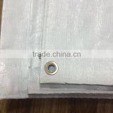 The Cheap 4*6m Plastic Tarpaulin and Blue White Tarpaulin Sheet of Any Specification pe Tarpaulin thumbnail-3