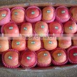 Fresh Chinese Fuji Apple thumbnail-1