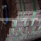 Firecrackers Pyrotechnics Tube Rolling Machine thumbnail-5