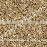 Dill Seeds / Anthem Graveolens Seeds / Pure Anthem Graveolens / Suwa