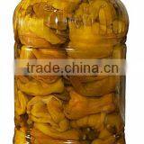 Antep Pepper in 5KGS PET Cucumber Pickles Miexd Pickles Hot Pepper Pickles Mixed Pickles Tinned Package thumbnail-1