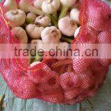 RED AND WHITE GARLIC NEW SEASON thumbnail-5