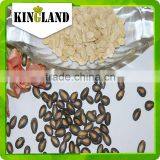 Roasted Watermelon Seed thumbnail-1