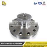 Carbon Steel Forged ASTM A182 F316L Hdpe Blind Flange thumbnail-1