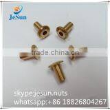 China Supplier Hardware Manufacturing Brass Male and Female Screw With Logo thumbnail-2