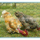 Hexagonal Netting Chicken Wire Hexagonal Wire Mesh With Green Plastic Finish thumbnail-5