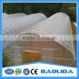 Cheap Price Single Tree Greenhouse thumbnail-1