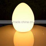 DC Charger Waterproof Led Eggs Color Changing Led Eggs Light thumbnail-2