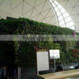 SJ1801298 Resturant Decoration Green Plant Walls thumbnail-2