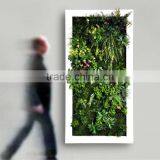 High Quality Artificial Wall Plant Artificial Succulent Plant Wall for Home Decor thumbnail-6