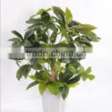 Decoration bonsai lucky tree at low price