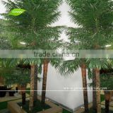 Artificial Plastic Palm Tree for Sale 5ft to 30ft for Room Decoration