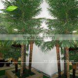 Artificial Plastic Palm Tree for Sale 5ft to 30ft for Room Decoration thumbnail-1