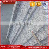 Popular Bala White G439 Grey Granite Countertop thumbnail-5