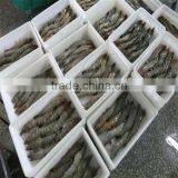 Frozen Cook Fresh Shrimp thumbnail-1