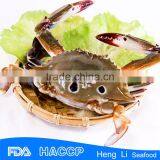 Seafood -crab Whole Round for Sale thumbnail-3
