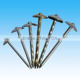 Galvanized Corrugated Roofing Nails From Guangzhou Supplier thumbnail-2