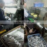 Foshan Nanhai Xin Jianwei Hardware Factory company overview - view 2 thumbnail