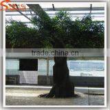 Artificial Outdoor Trees Large Artificial Tree and Artificial Banyan Tree thumbnail-2
