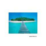 Sell Landscape Picture thumbnail-1