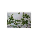 Sell Freeze Dried European Chives thumbnail-1