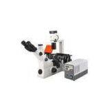 Inverted Fluorescent Biological Microscope With Infinitive Optical System thumbnail-1