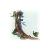 Pueraria Extract Powder thumbnail-1