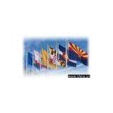 Custom Flags thumbnail-1